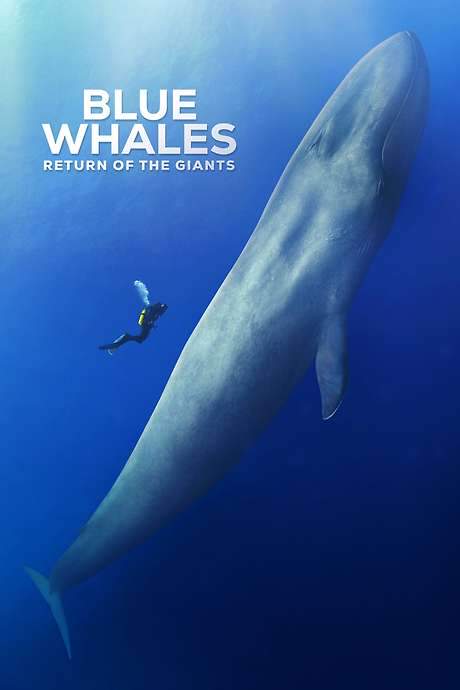 Blue Whales: Return of the Giants